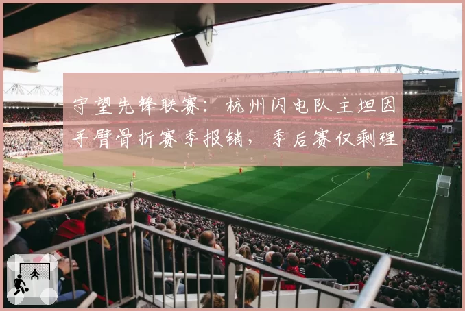 守望先锋联赛：杭州闪电队主坦因手臂骨折赛季报销，季后赛仅剩理论可能？