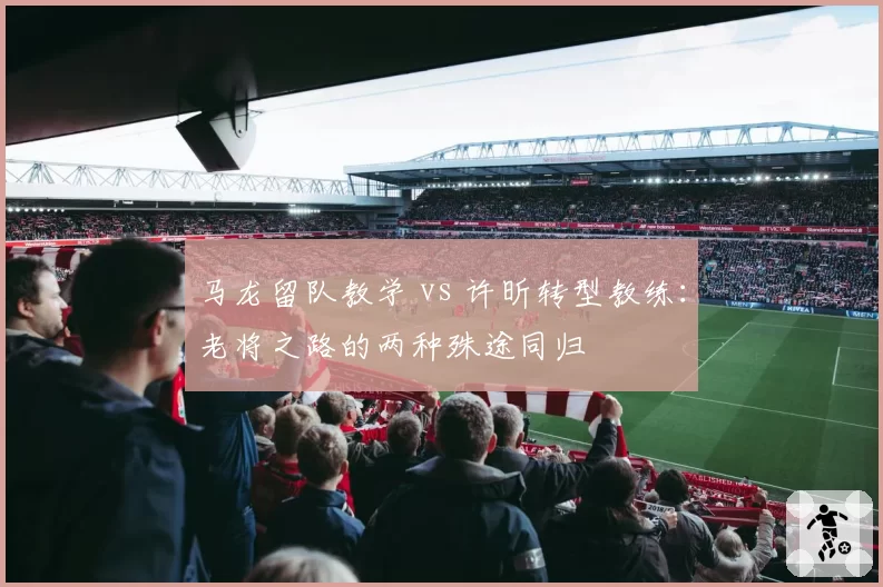 马龙留队教学 vs 许昕转型教练：老将之路的两种殊途同归