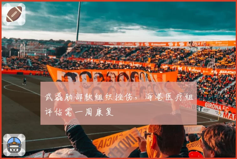 武磊肋部软组织挫伤,海港医疗组评估需一周康复