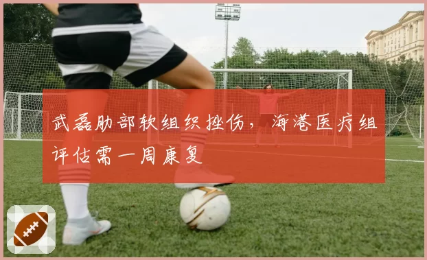 武磊肋部软组织挫伤，海港医疗组评估需一周康复